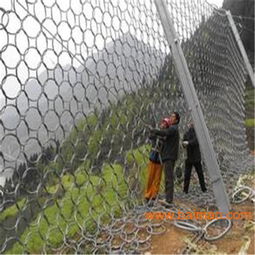 邊坡防護(hù)網(wǎng)施工費用明細(xì) gps2型邊坡防護(hù)網(wǎng),邊坡防護(hù)網(wǎng)施工費用明細(xì) gps2型邊坡防護(hù)網(wǎng)生產(chǎn)廠家,邊坡防護(hù)網(wǎng)施工費用明細(xì) gps2型邊坡防護(hù)網(wǎng)價格